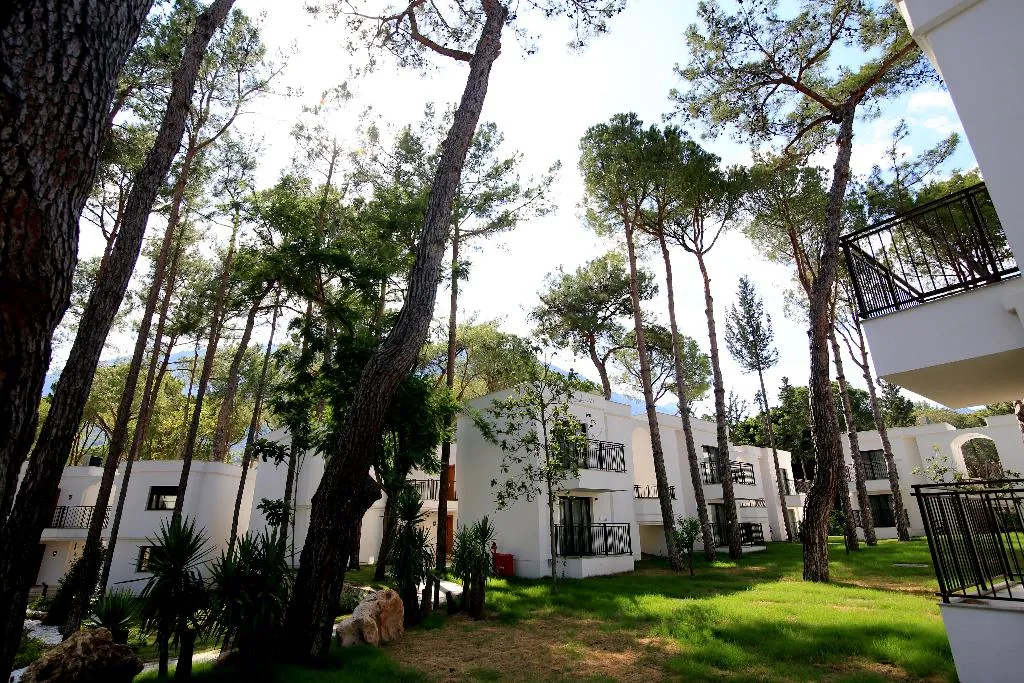 General view, Siu Collection, Antalya