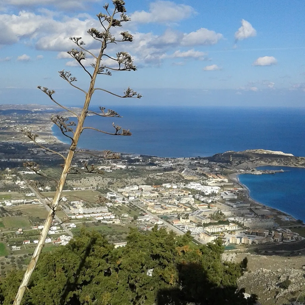 General view, Stergios Villa, Rhodes