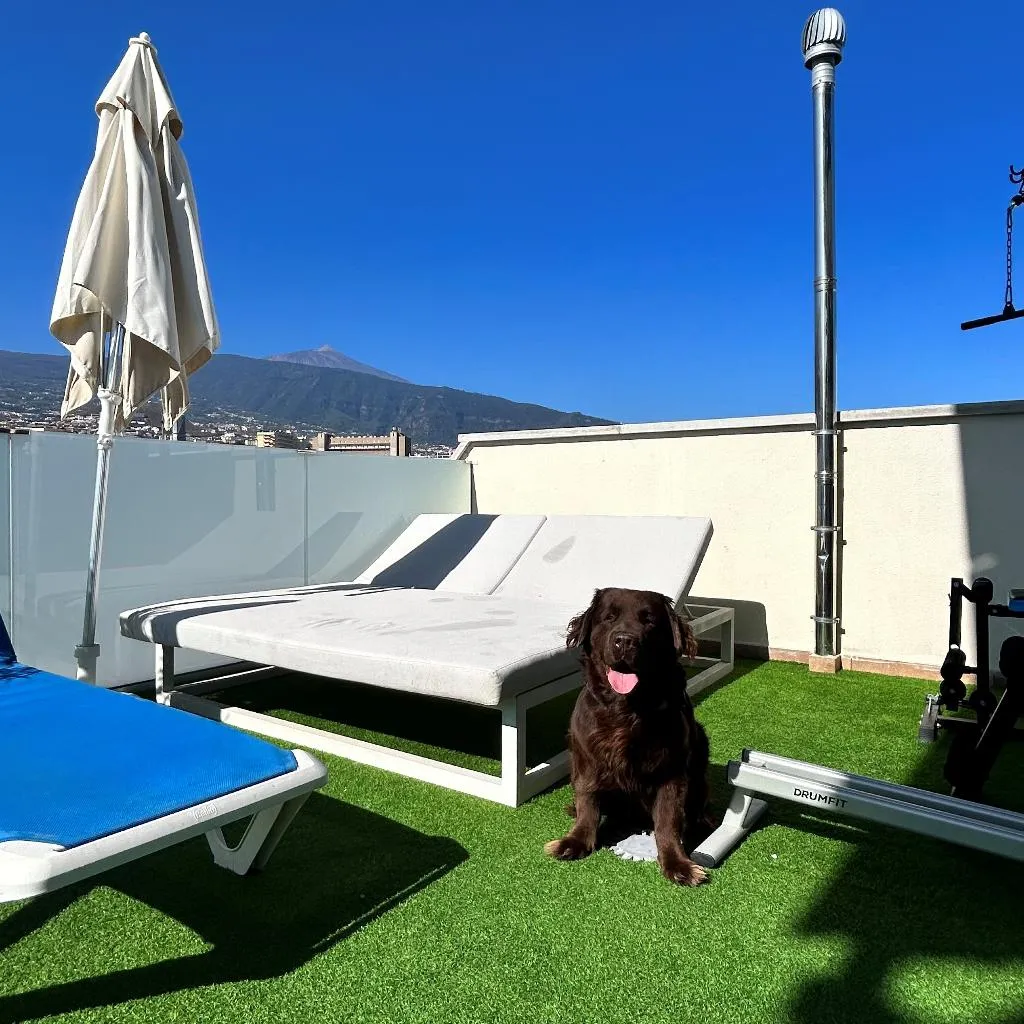 Terrace, Puerto Azul, Tenerife