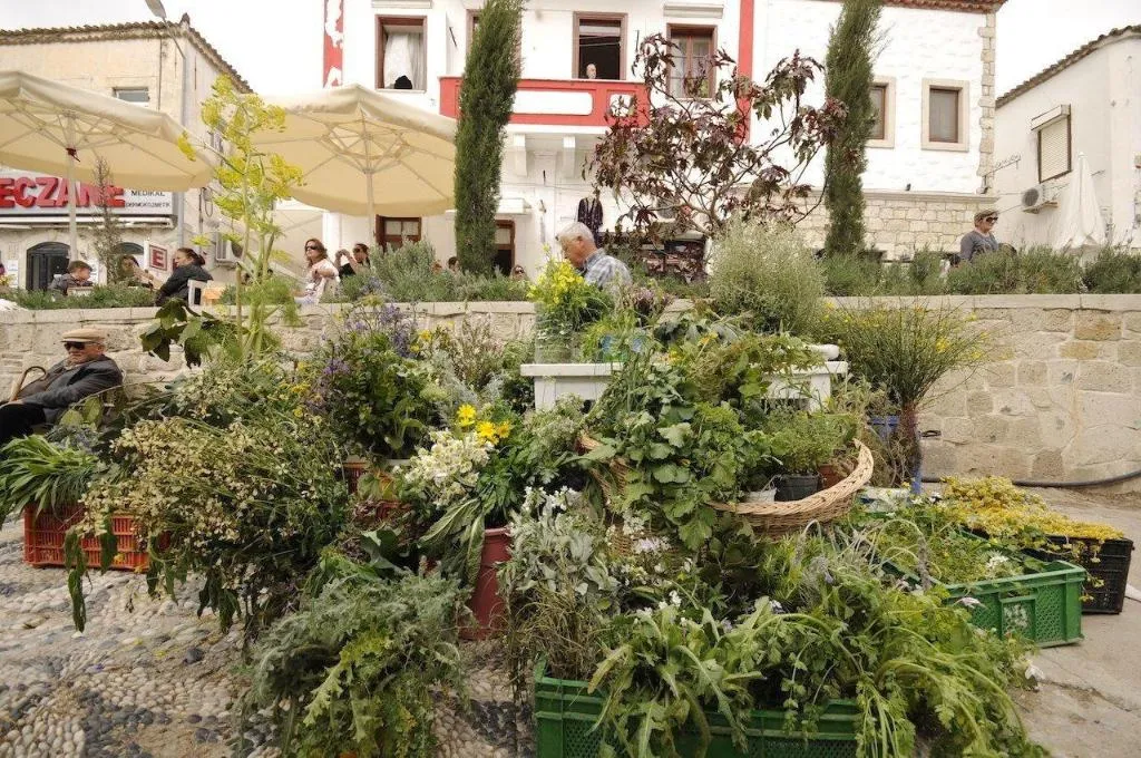 General view, Marigold Apart, Izmir