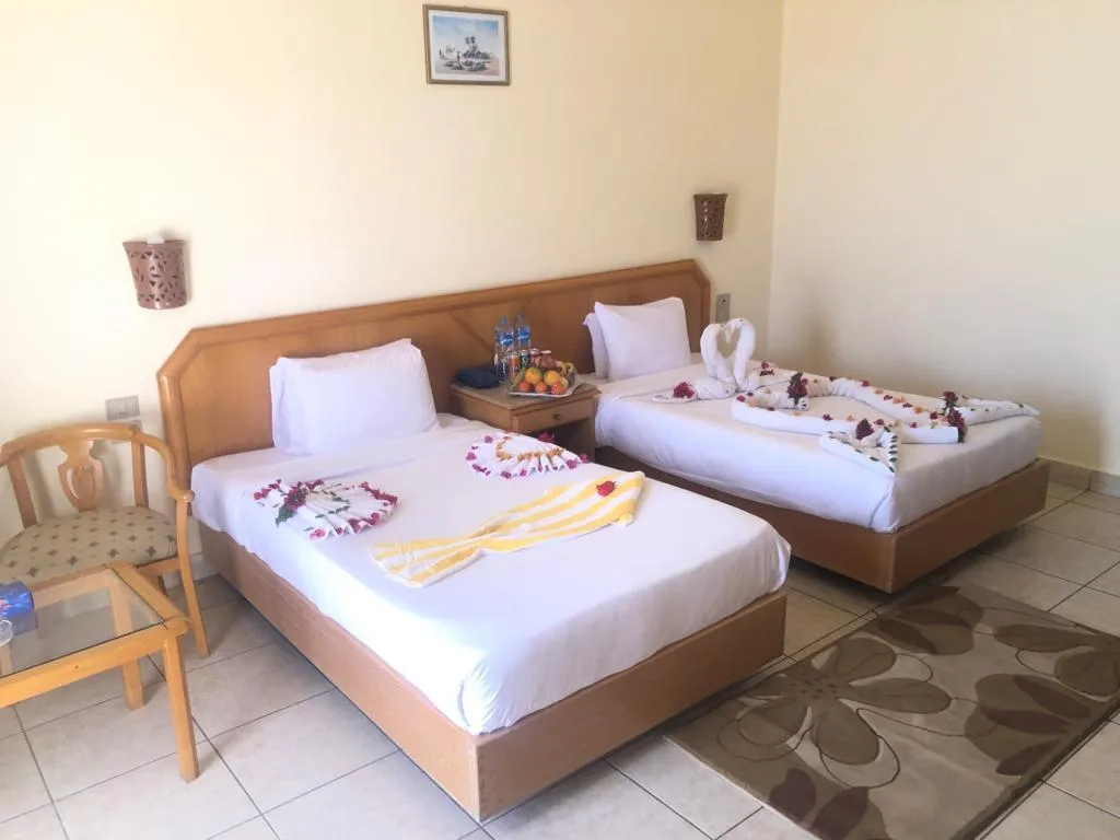 Double or Twin STANDARD Room, Sharm Cliff Resort, Red Sea Riviera