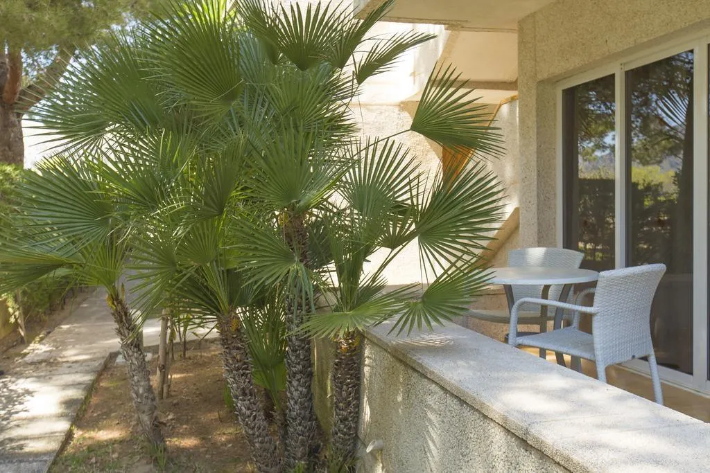 Terrace, Apartamentos Massol, Majorca