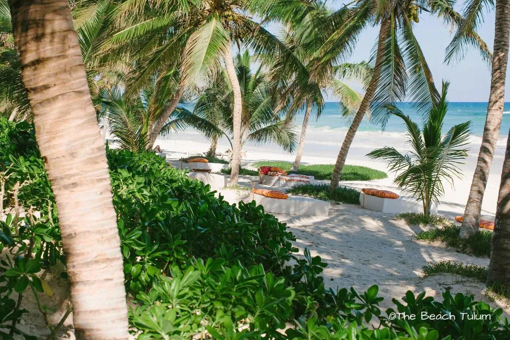 Beach, The Beach Tulum, Cancun Area
