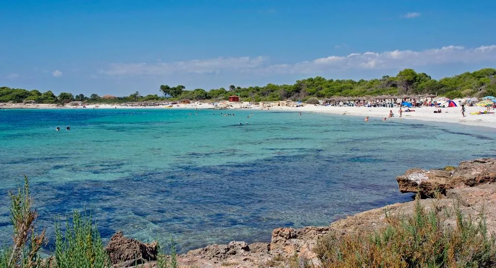 Beach, Aparthotel Isla de Cabrera, Majorca