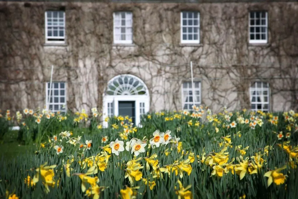 General view, Ballymaloe House, Cork