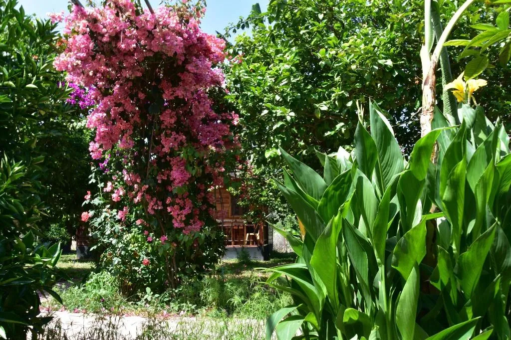 General view, Lemon Garden Lodge, Antalya