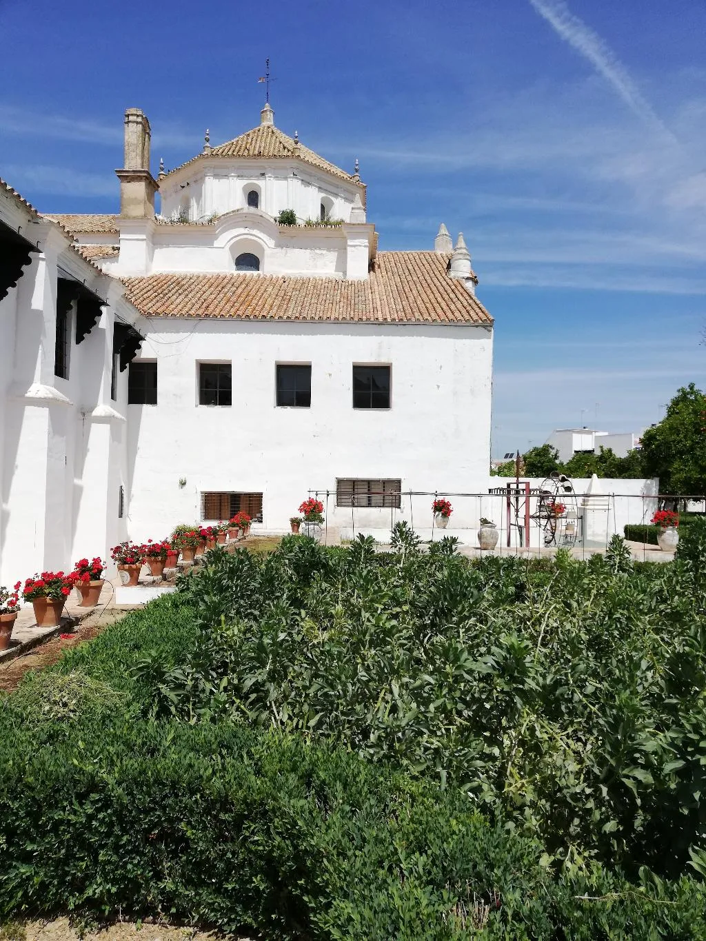 General view, Monasterio de San Francisco, Costa Del Sol
