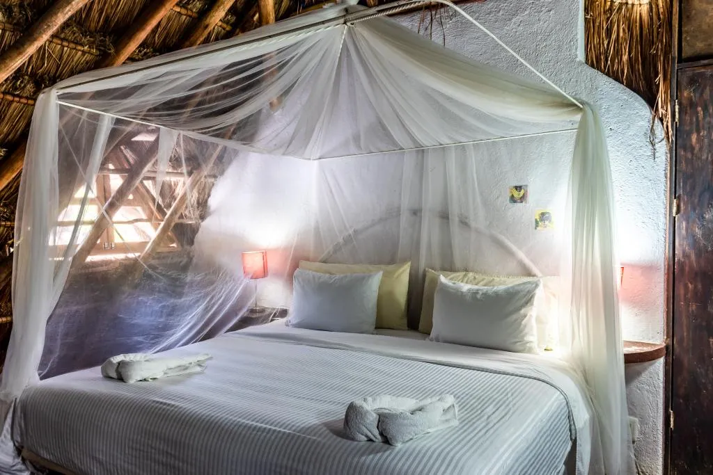 DOUBLE ECONOMY Room, Casaejido, Playa Del Carmen