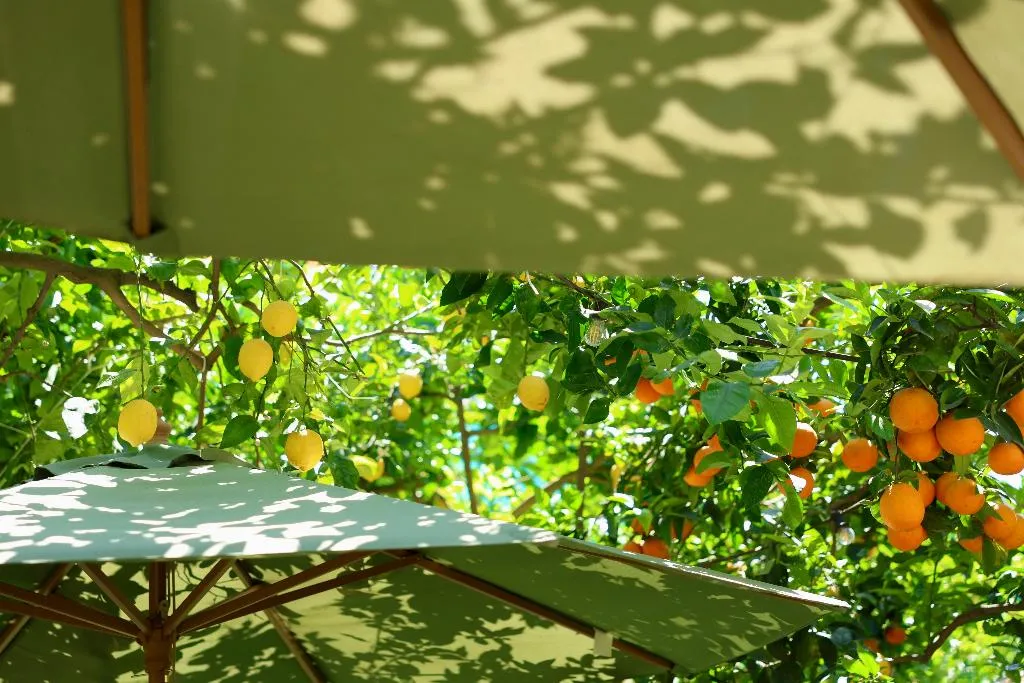Restaurant, Relais Correale Rooms&Garden, Naples