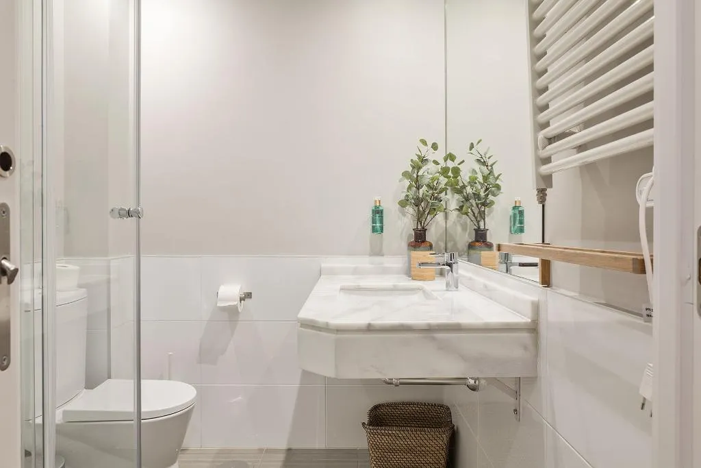 APARTMENT CAPACITY 3 Room, Canaan Boutique Apartments Madrid, Madrid