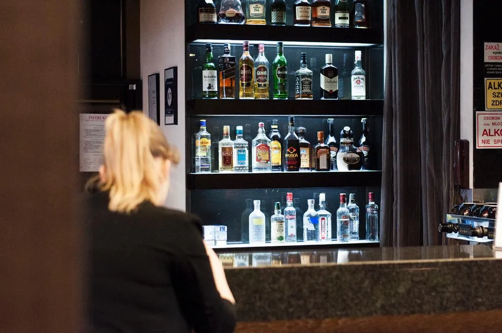 Bar, Hotel Centrum, Krakow