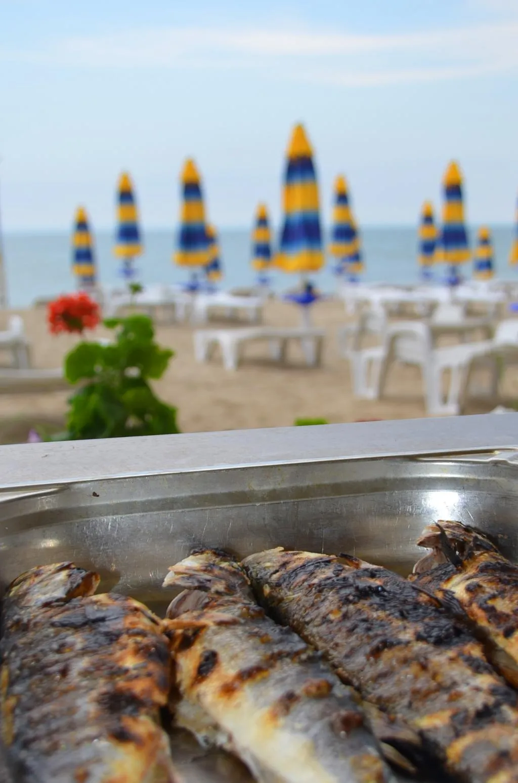 Restaurant, Gergana, Varna