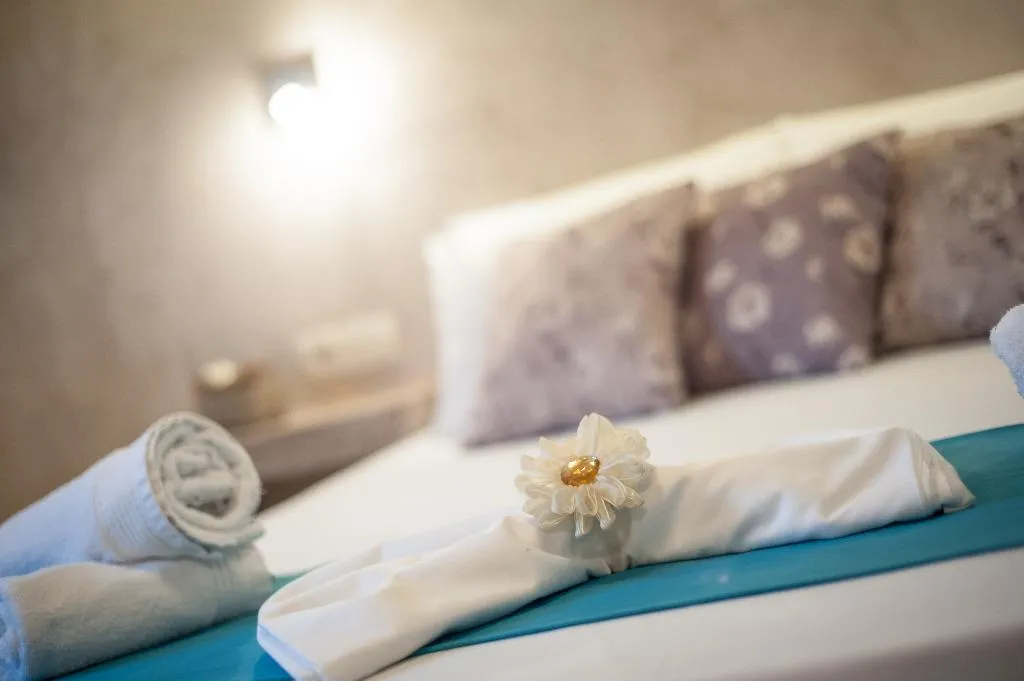 Room, Zante Nest, Zante