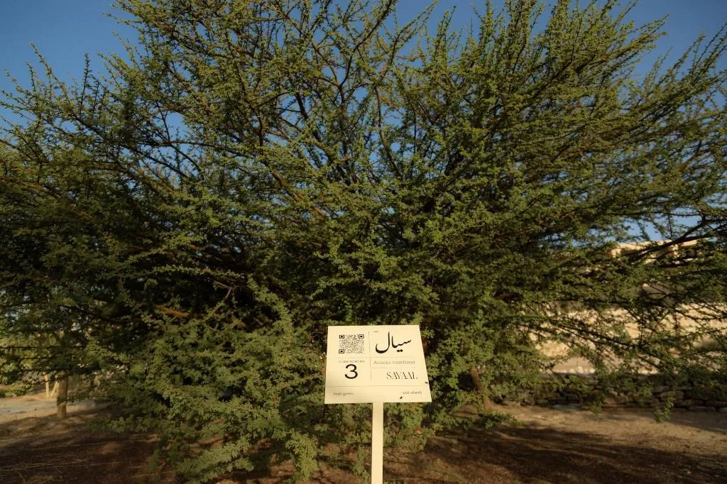 General view, Wadi Sabarah Lodge, Red Sea Riviera