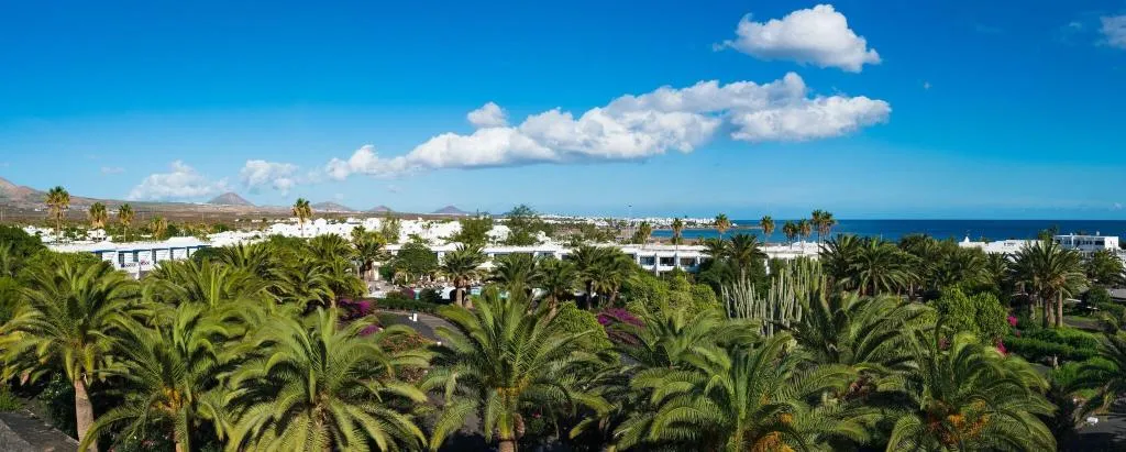 Terrace, Relaxia Olivina, Lanzarote