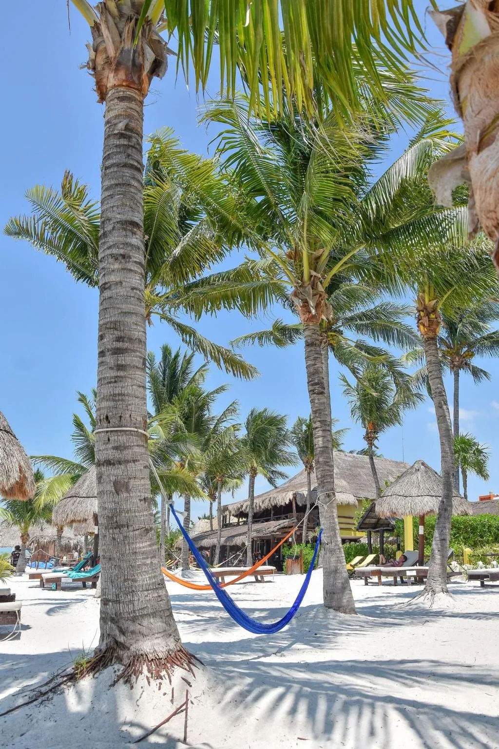 Beach, Amaita Beach Hotel, Cancun Area