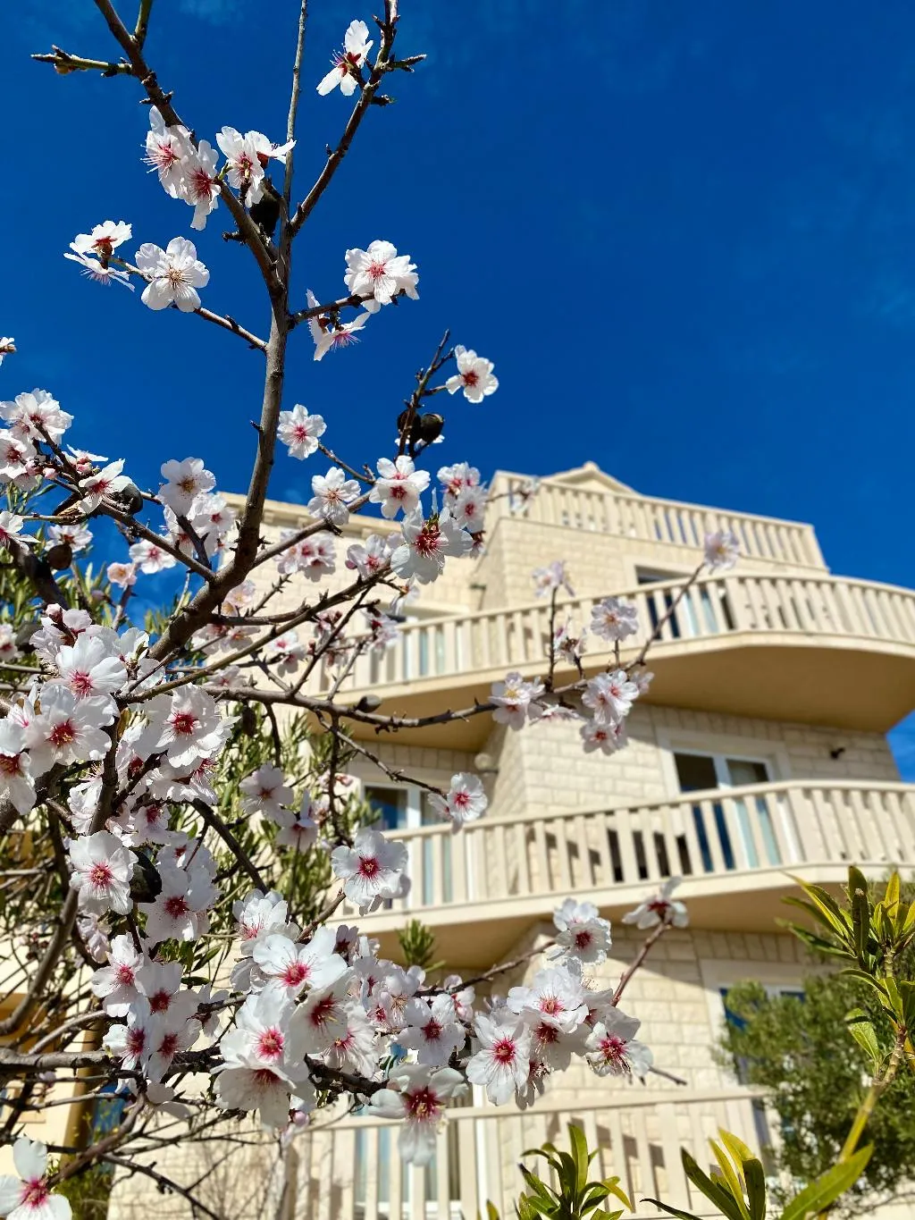 Lobby, Villa Dzamonja, Split