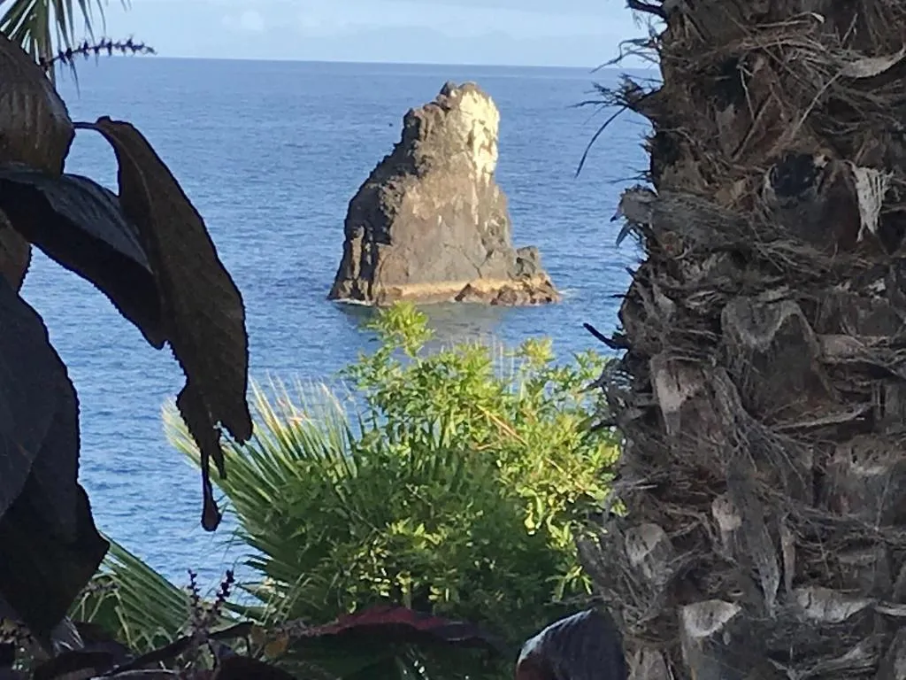 General view, Apartamentos Do Mar, Madeira