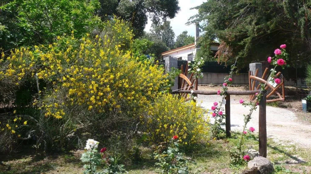 General view, Casa Solotti, Olbia