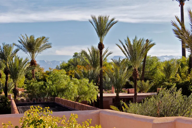 General view, Villa 55, Marrakech