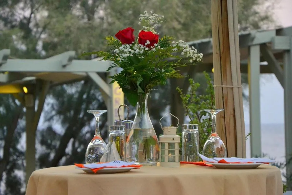 Restaurant, Elixir Studios, Santorini