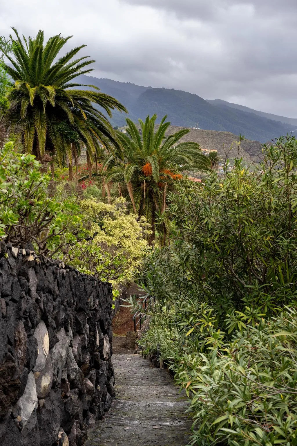 General view, Parador de la Palma, La Palma