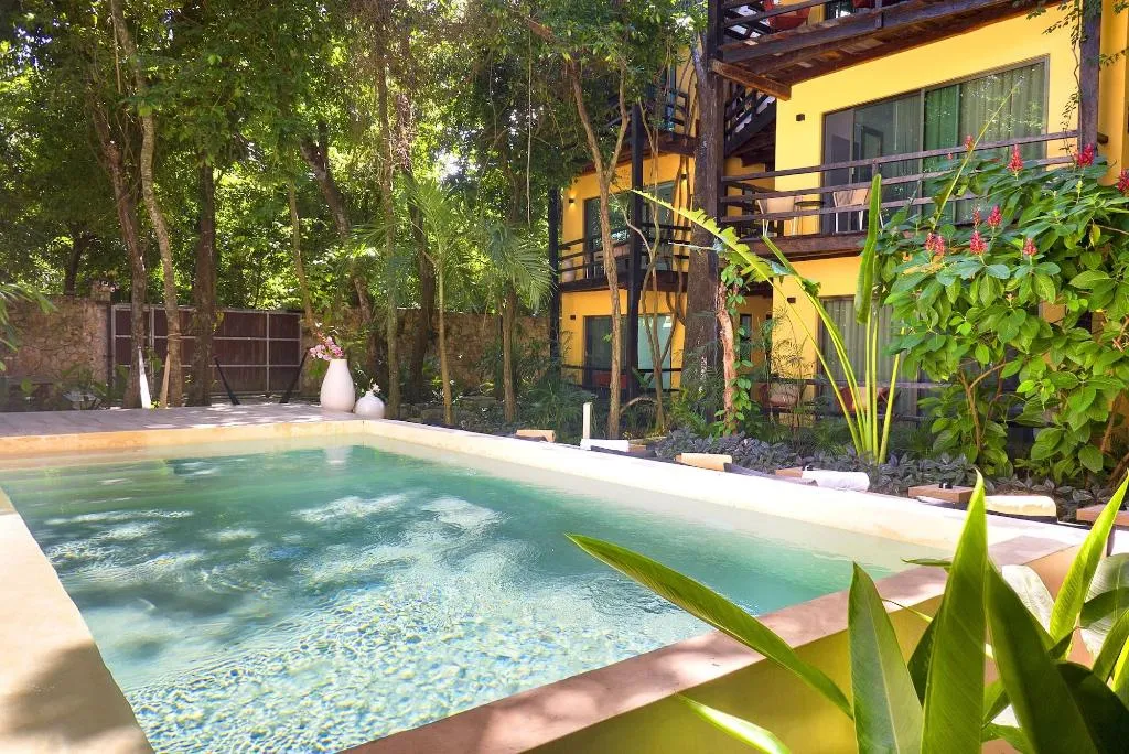 Sports and Entertainment, Terasu Riviera Maya Hotel & Spa, En Xcaret, Playa Del Carmen