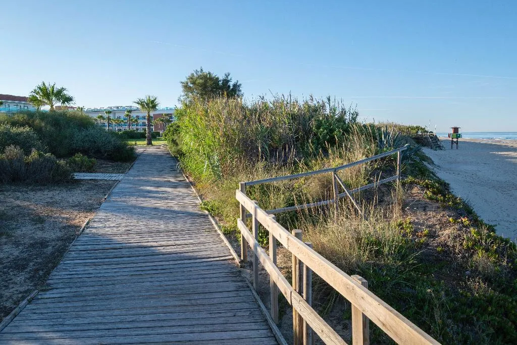 Beach, Best Costa Ballena, Costa De La Luz
