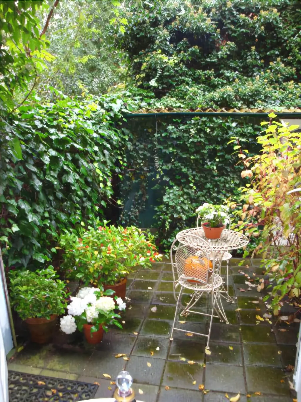 Room, Bed and Breakfast Amsterdam, Amsterdam
