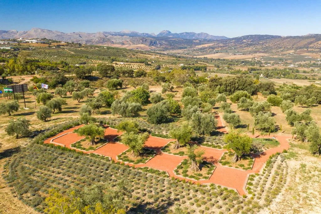 Sports and Entertainment, Cortijo La Organic, Costa Del Sol