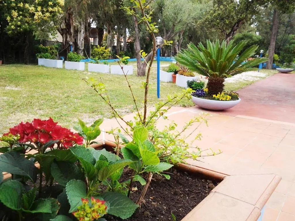 Terrace, Hotel Corallo, Olbia
