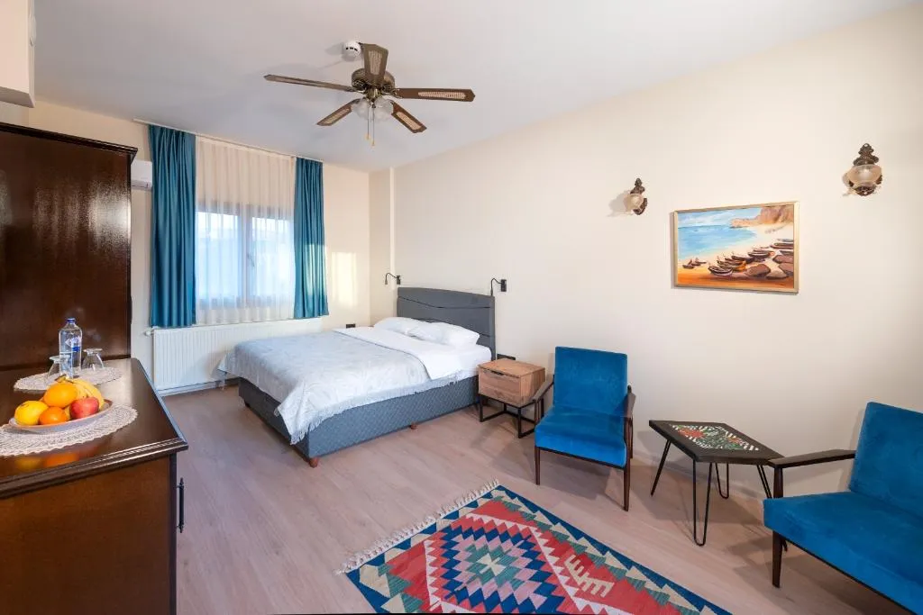 DOUBLE Accessible Room, Urla Köstem Müze Otel, Izmir