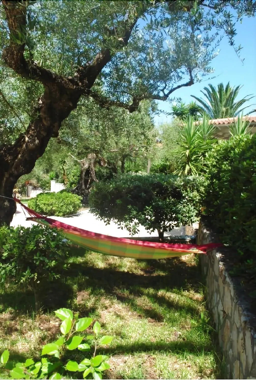 General view, Lofos Strani, Zante