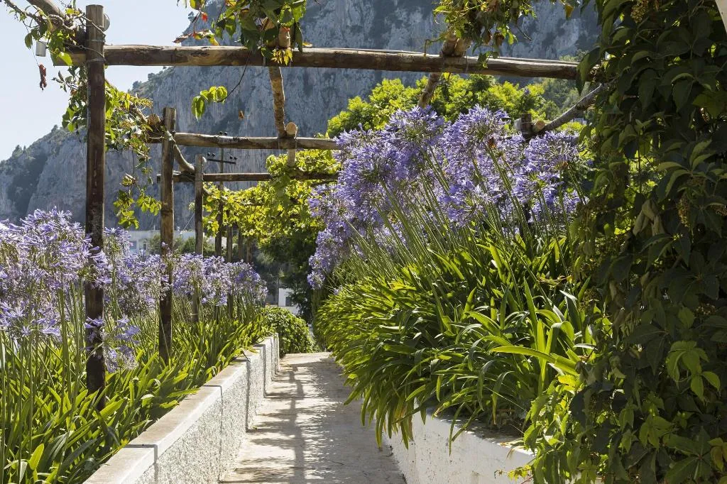 General view, Villa La Pergola Capri, Naples