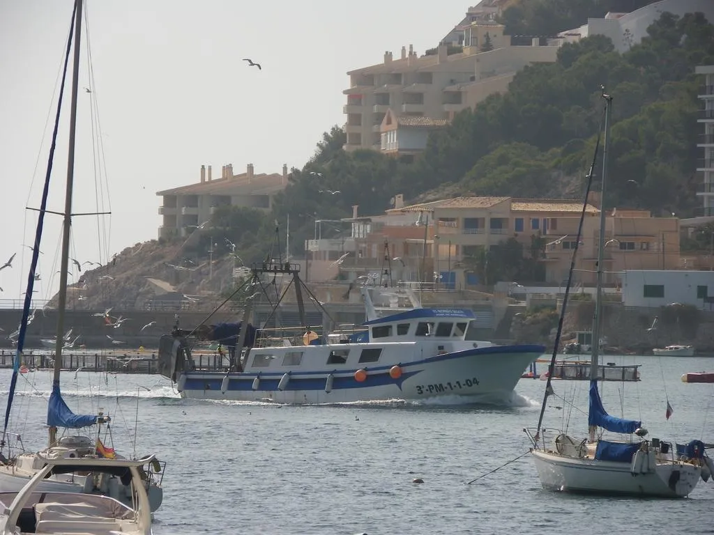 Beach, Brisamar Affiliated by Fergus, Majorca