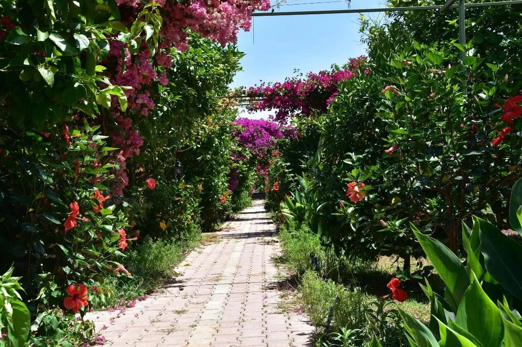 General view, Lemon Garden Lodge, Antalya