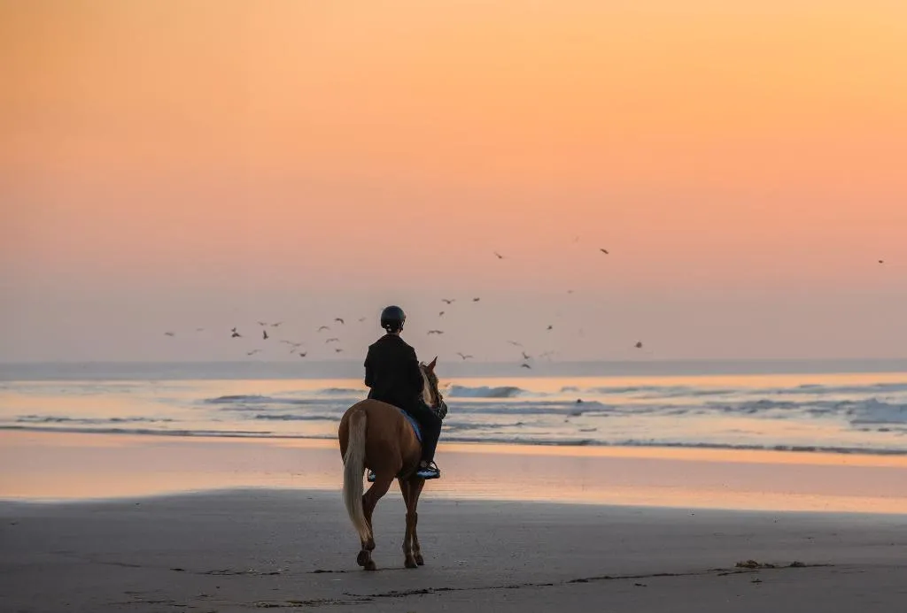Sports and Entertainment, Mazagan Beach & Golf Resort, Casablanca