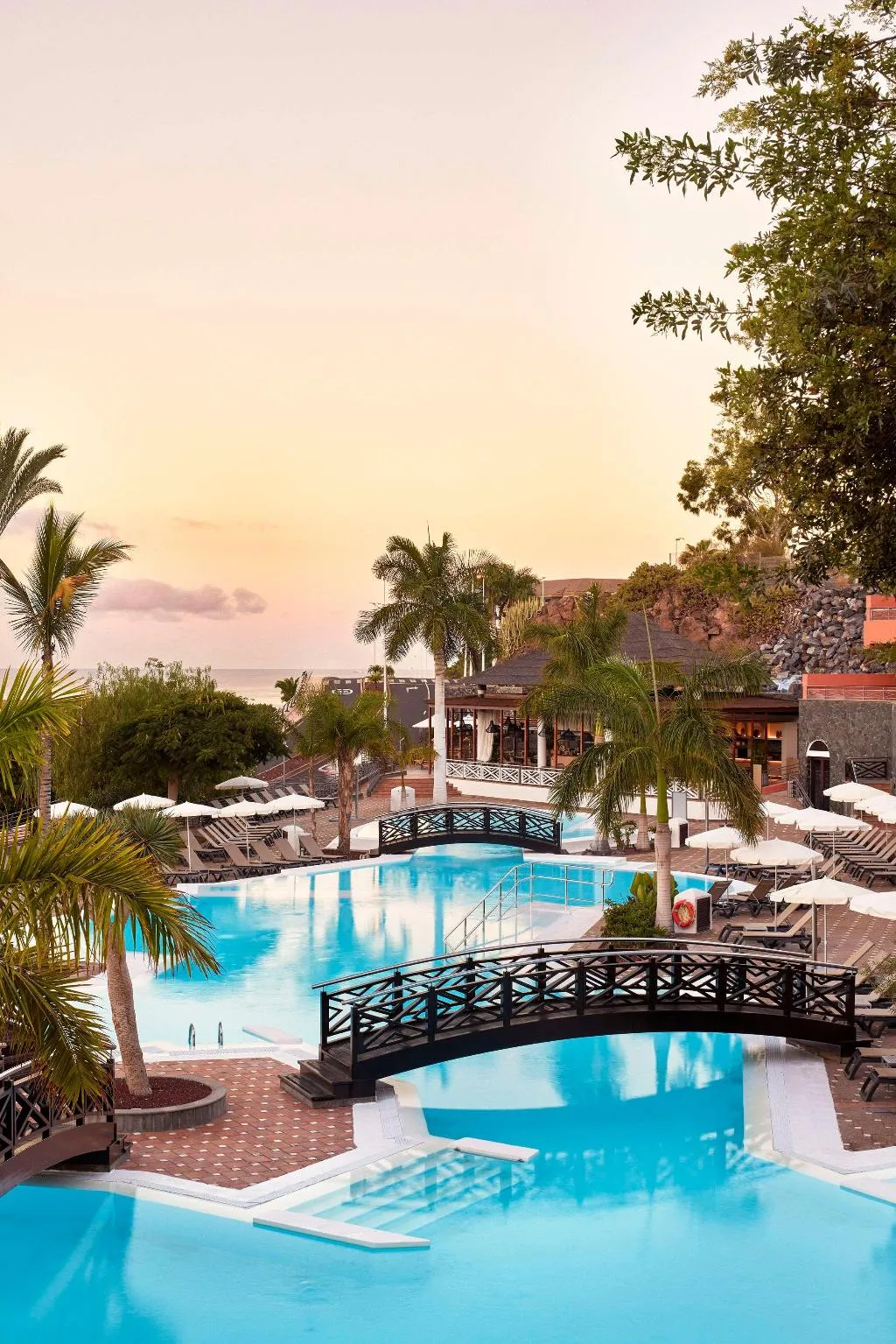 Pool, Melia Jardines del Teide, Tenerife