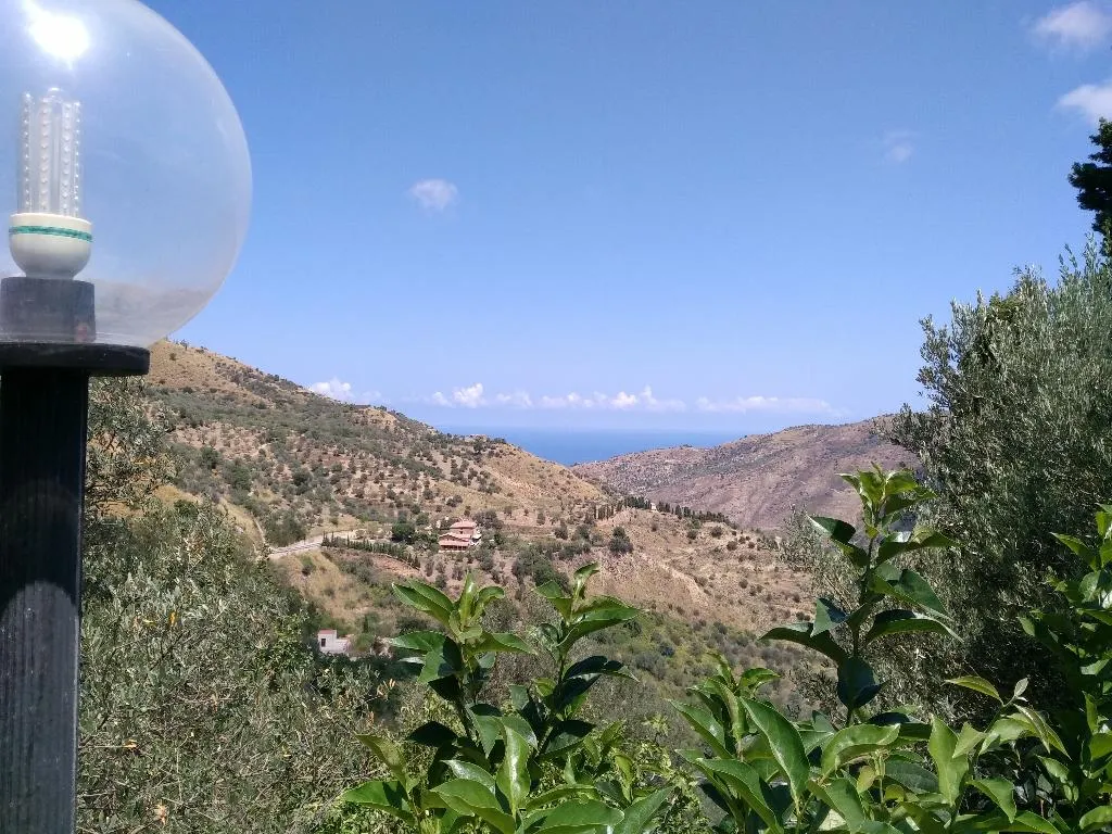 Terrace, Agriturismo L'Uliveto, Palermo