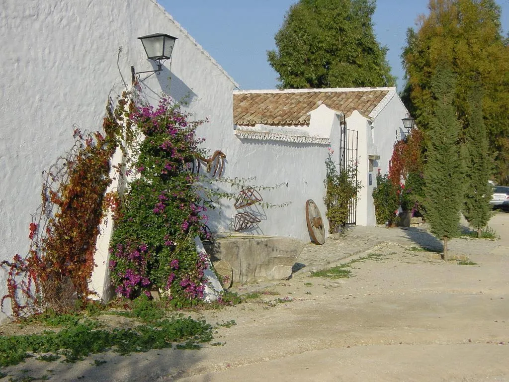 General view, El Horcajo, Costa Del Sol