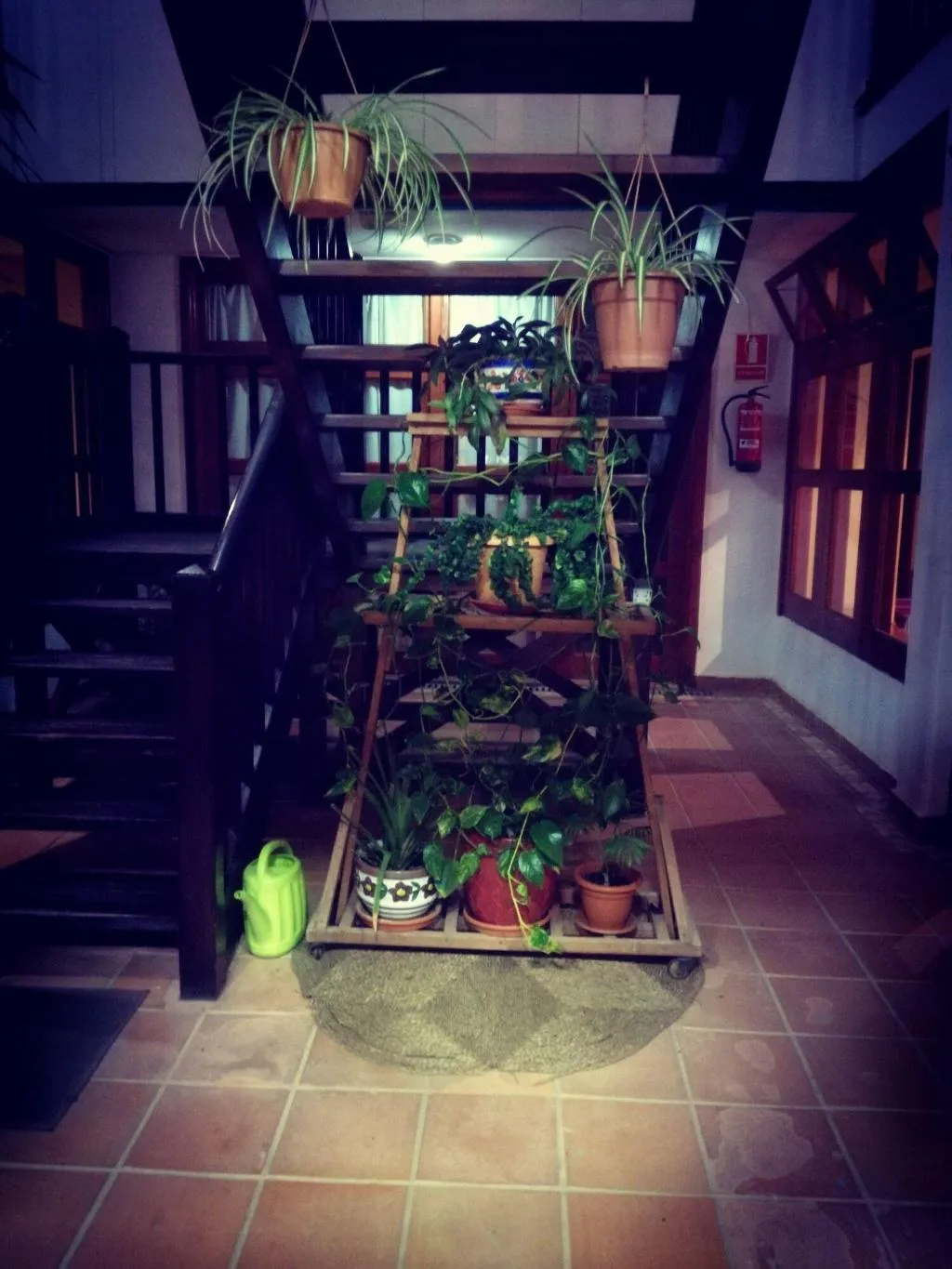 Lobby, La Casita, Fuerteventura