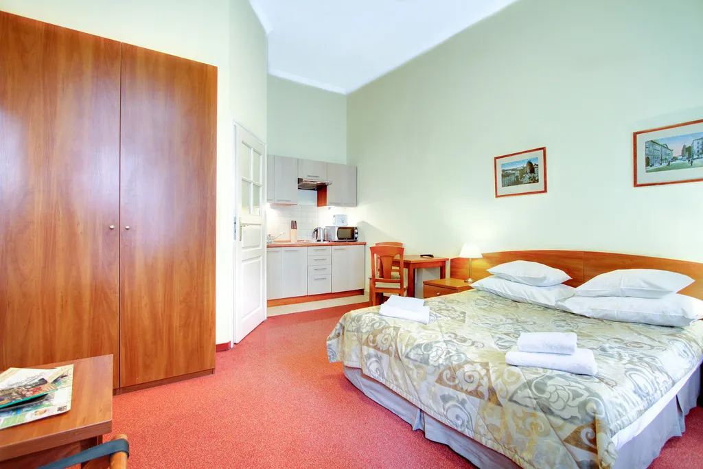 STUDIO CAPACITY 1 Room, Krakow City Apartments, Krakow