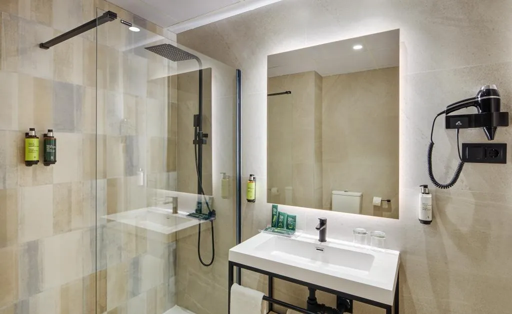 TWIN CLASSIC WITH VIEWS Room, Sercotel Alfonso VI, Madrid