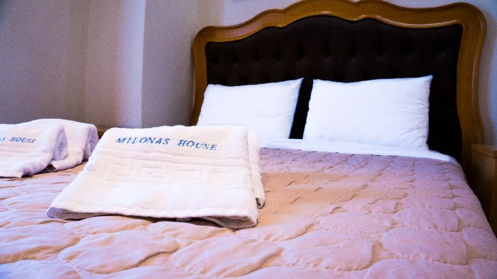DOUBLE STANDARD Room, Milonas House Apartments, Halkidiki