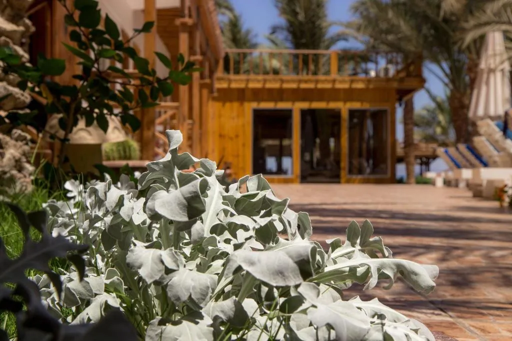 General view, Acacia Dahab Hotel, Red Sea Riviera