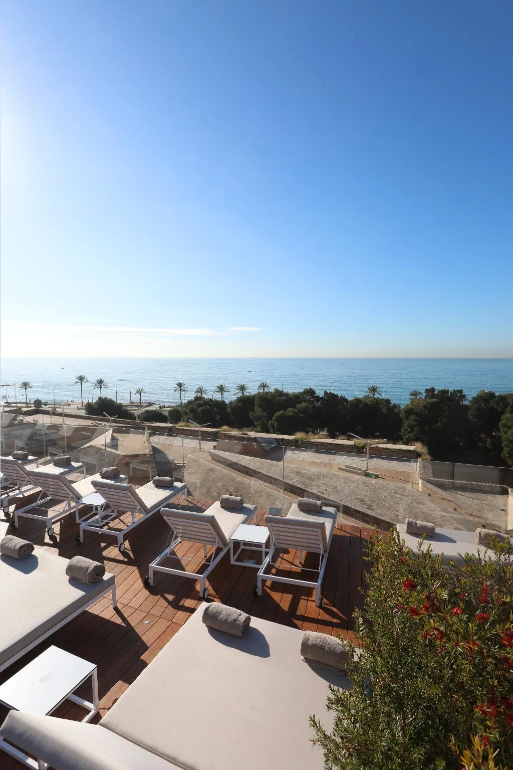 Terrace, Es Princep, Majorca
