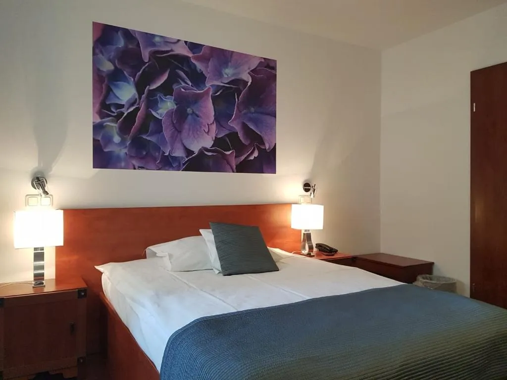 SINGLE STANDARD Room, Hotel B.A.S. Villa Residence, Krakow