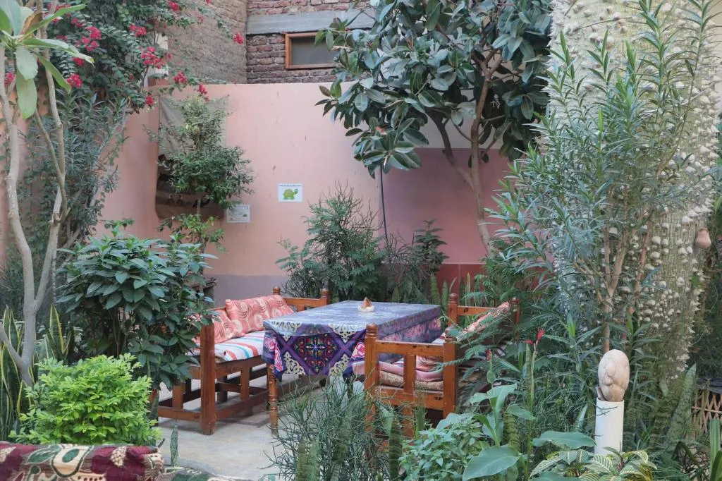 Restaurant, Amon Hotel, Luxor