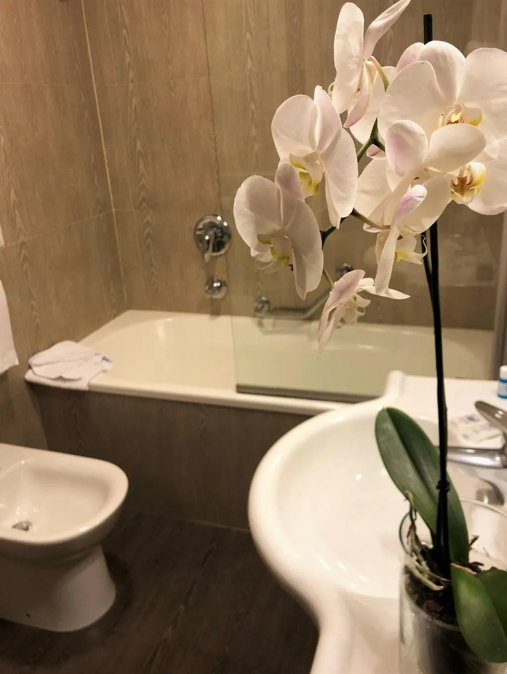 Room, Villa Maria Regina, Rome