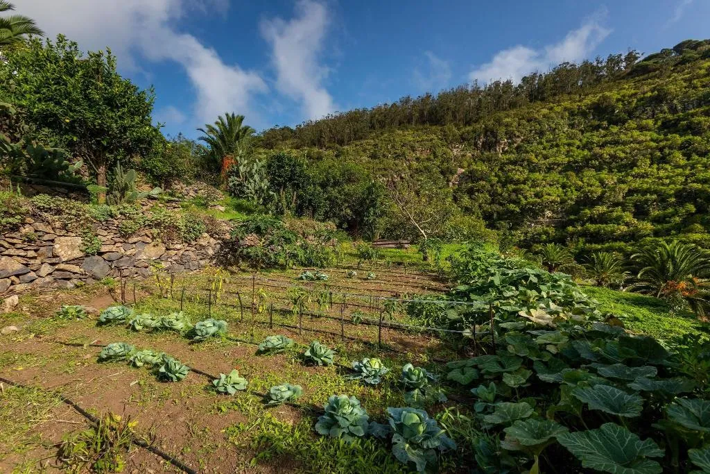 General view, Las Casas del Chorro, La Gomera